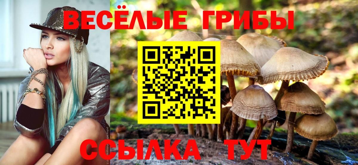 Псилоцибиновые грибы MAGIC MUSHROOMS Выборг